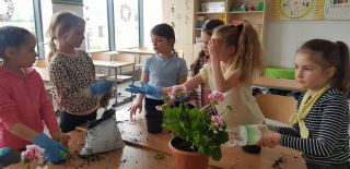 20230519_125203_1024x498